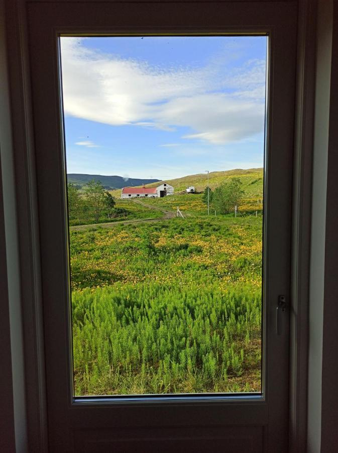 Engimyri Lodge エクステリア 写真
